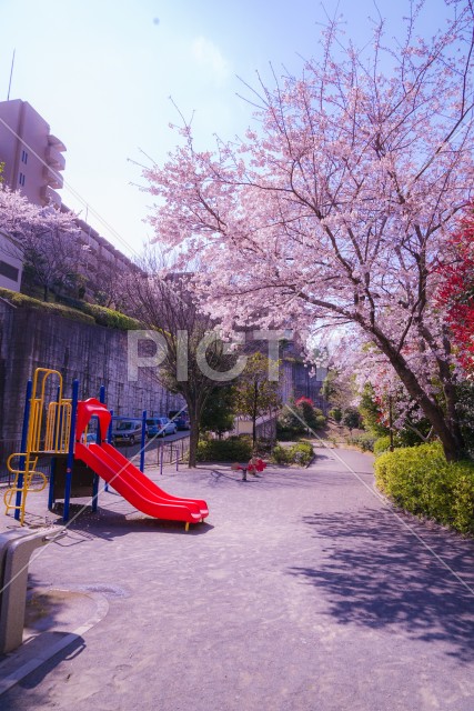 写真のタイトルが入ります