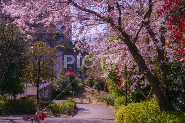 写真のタイトルが入ります