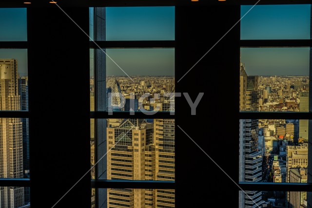 写真のタイトルが入ります