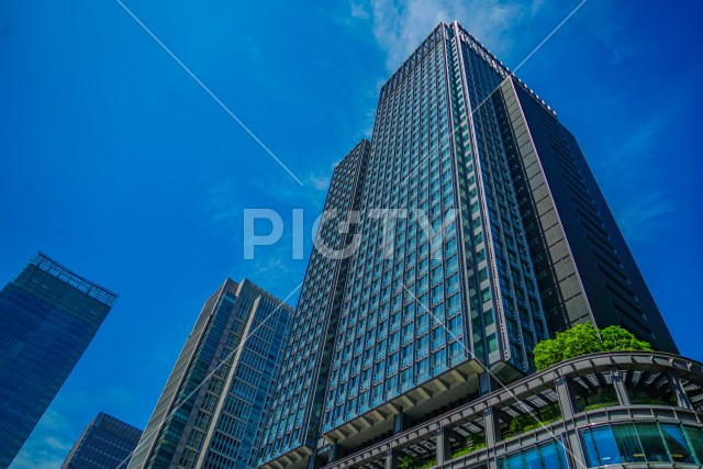 写真のタイトルが入ります