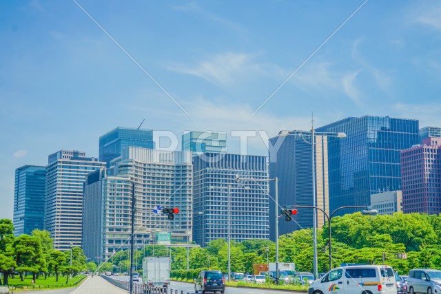 写真のタイトルが入ります