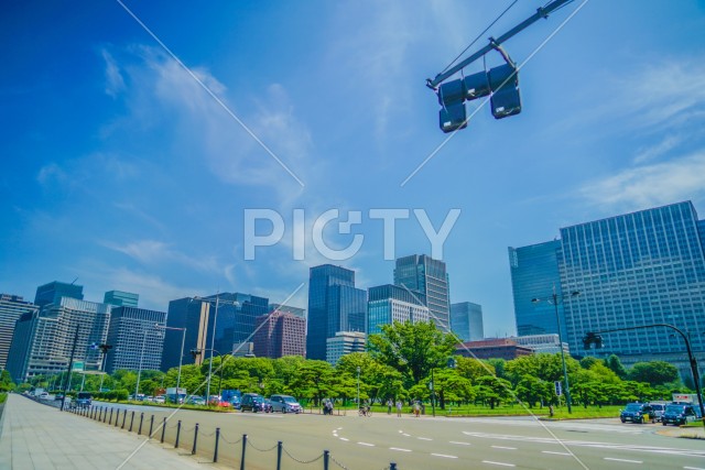 写真のタイトルが入ります