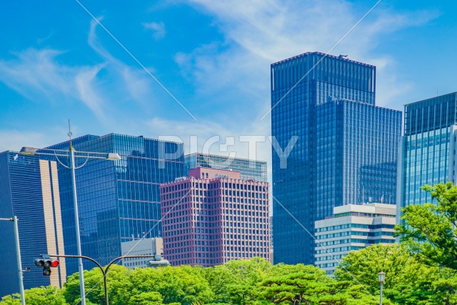 写真のタイトルが入ります