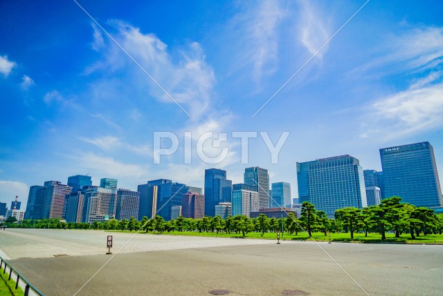 写真のタイトルが入ります