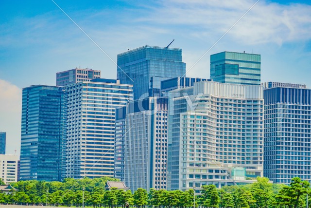 写真のタイトルが入ります