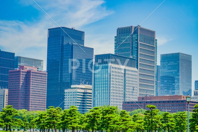 写真のタイトルが入ります