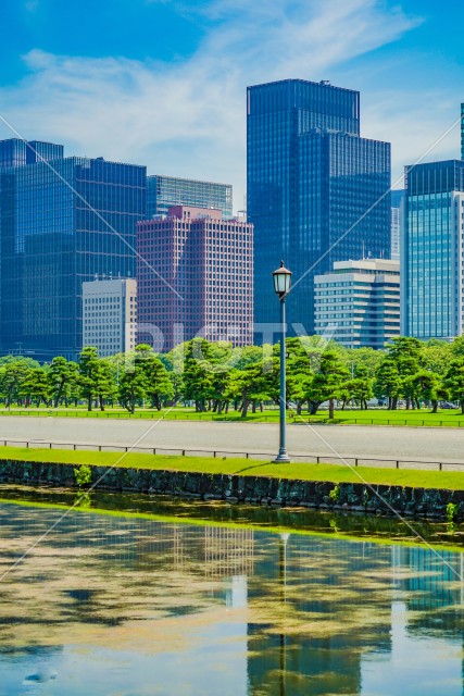 写真のタイトルが入ります