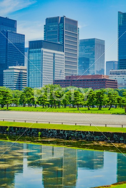写真のタイトルが入ります