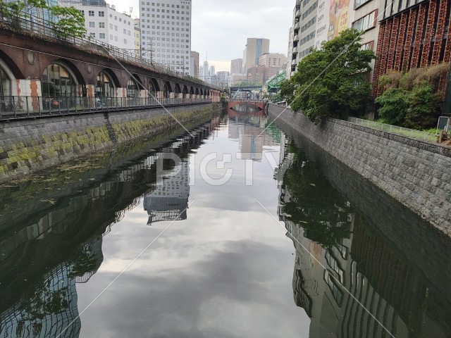 写真のタイトルが入ります
