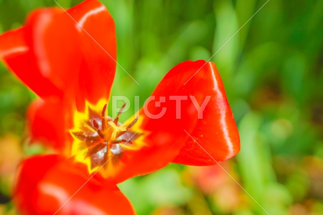 写真のタイトルが入ります