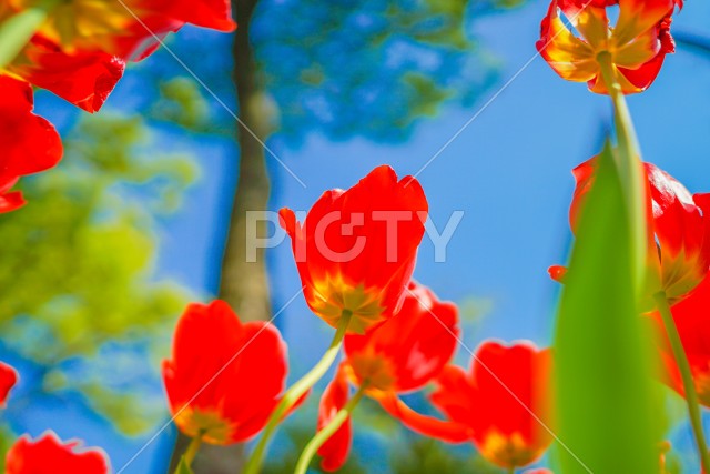 写真のタイトルが入ります