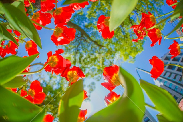 写真のタイトルが入ります