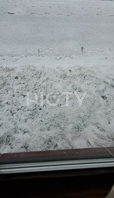 令和5年11月14日 雪景色