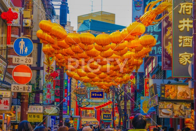 写真のタイトルが入ります
