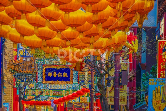 写真のタイトルが入ります