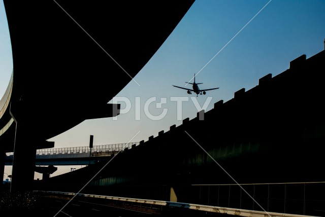写真のタイトルが入ります