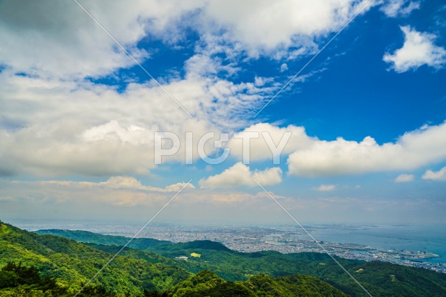 写真のタイトルが入ります