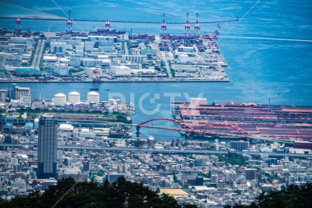 写真のタイトルが入ります