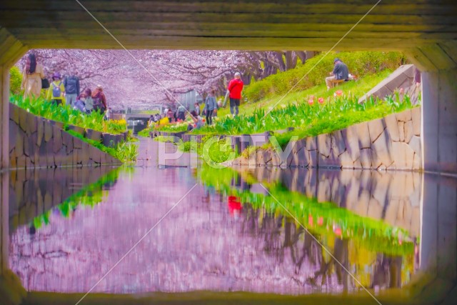 写真のタイトルが入ります