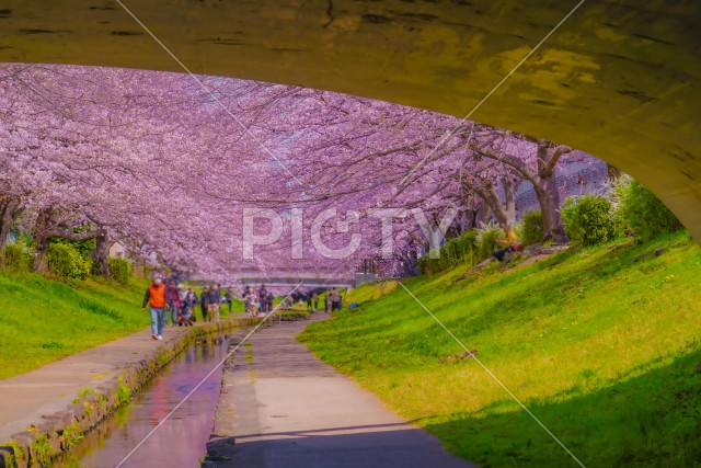 写真のタイトルが入ります
