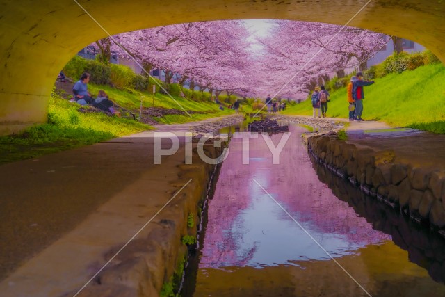 写真のタイトルが入ります