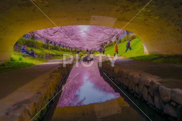 写真のタイトルが入ります