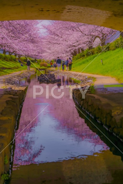 写真のタイトルが入ります