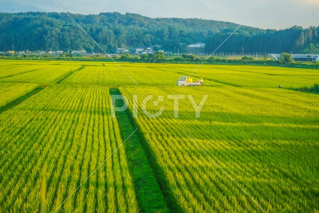 写真のタイトルが入ります