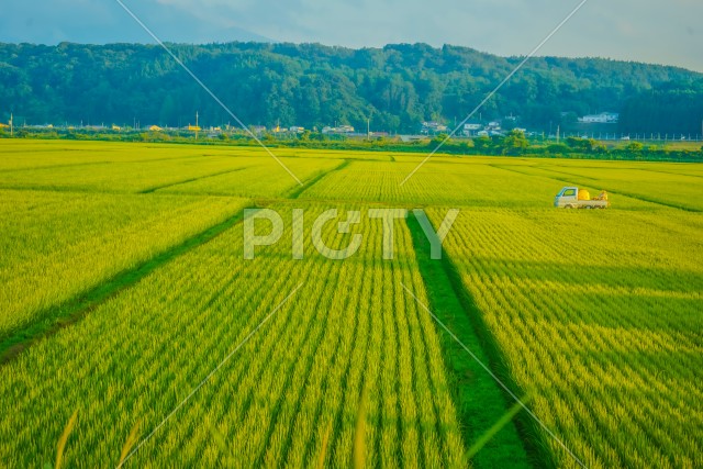 写真のタイトルが入ります