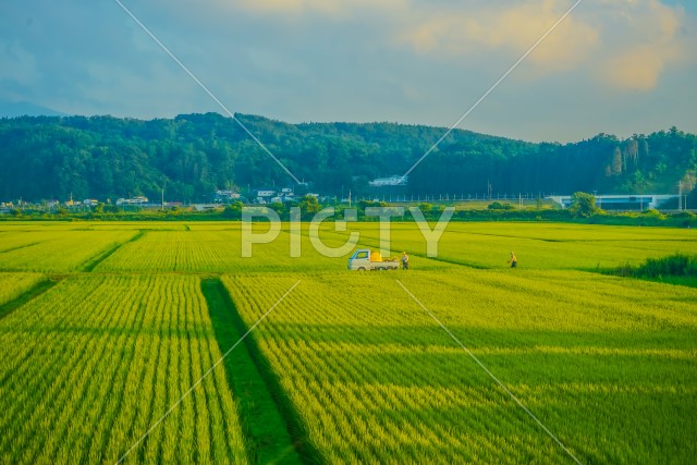青森の田園風景