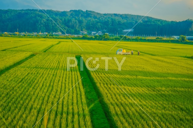 写真のタイトルが入ります