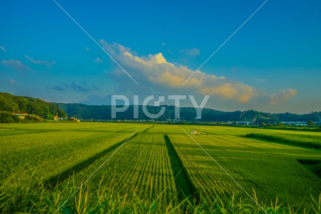 写真のタイトルが入ります