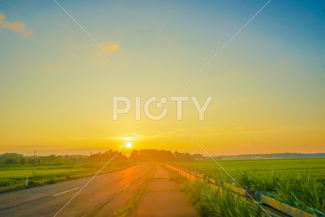 写真のタイトルが入ります