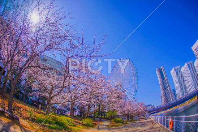 写真のタイトルが入ります