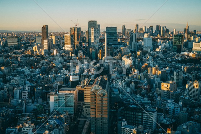 写真のタイトルが入ります