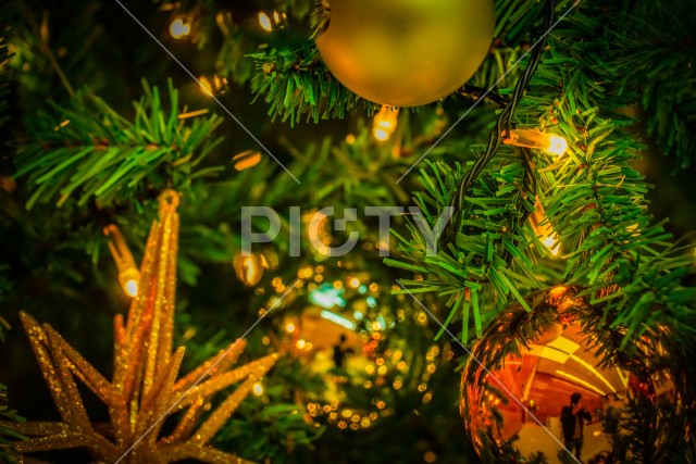 写真のタイトルが入ります