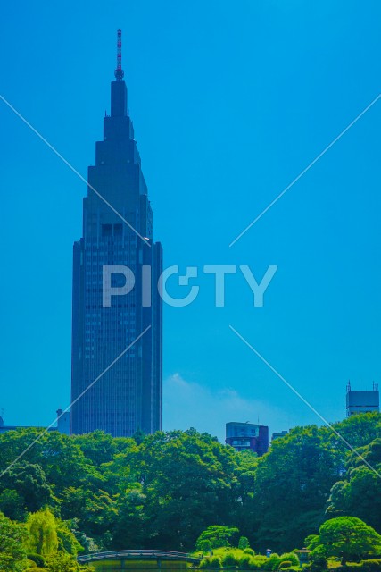 写真のタイトルが入ります