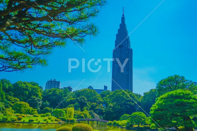 写真のタイトルが入ります