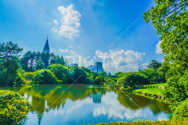 写真のタイトルが入ります