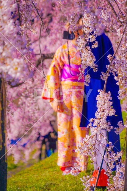 写真のタイトルが入ります