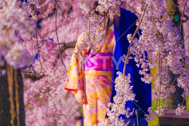 写真のタイトルが入ります