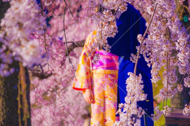 写真のタイトルが入ります