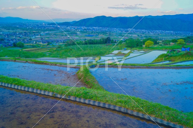 写真のタイトルが入ります
