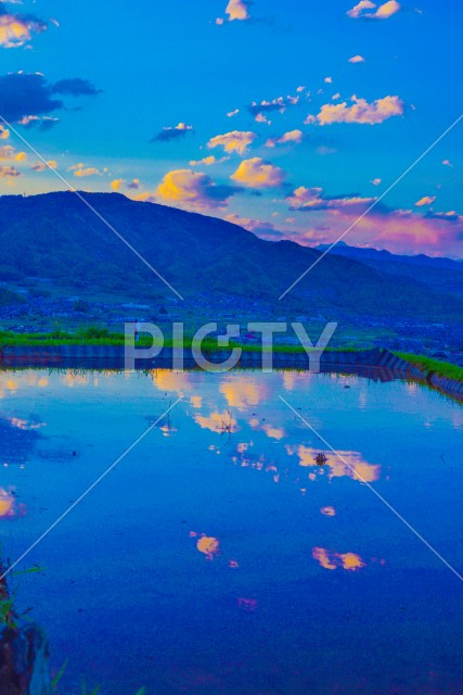 写真のタイトルが入ります