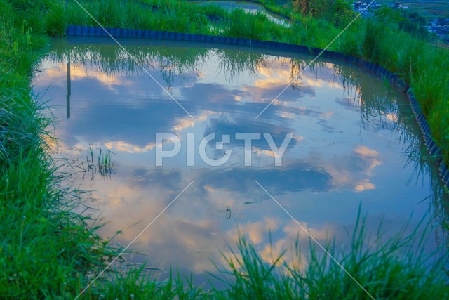 写真のタイトルが入ります