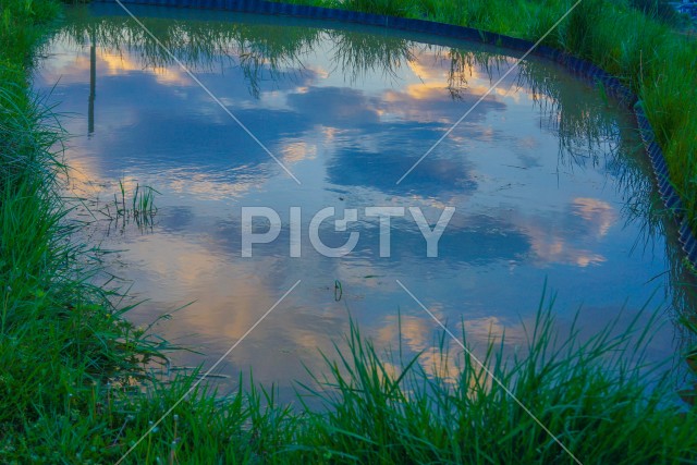 写真のタイトルが入ります