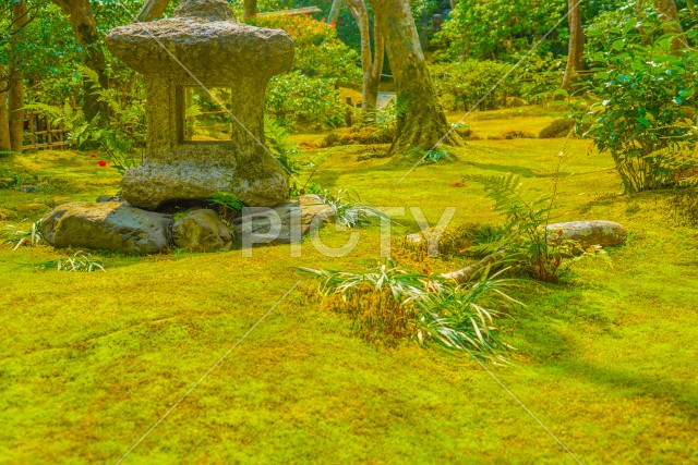 写真のタイトルが入ります