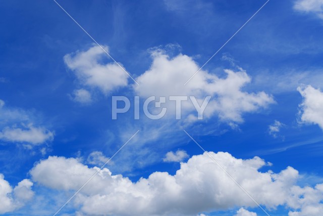 写真のタイトルが入ります
