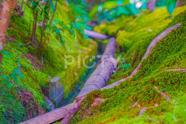 写真のタイトルが入ります