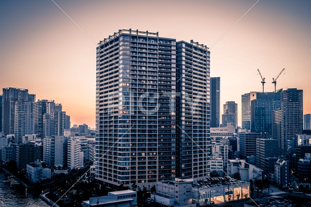 写真のタイトルが入ります